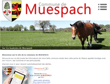 Tablet Screenshot of muespach.fr